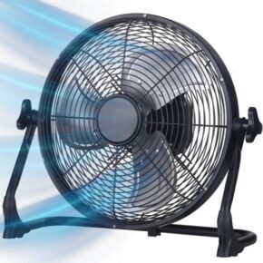 FAN